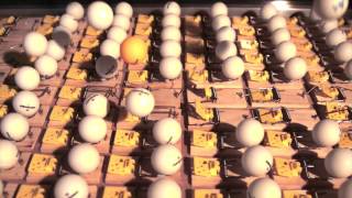 A chain reaction (with mousetraps and ping pong balls)