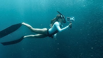 ProShot Case | Tray Assembly and Tips | Brands We Love