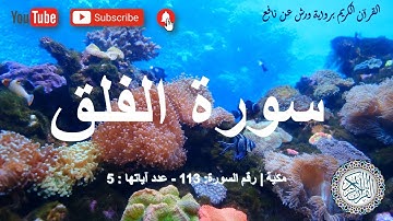 sourate Al falaq 113 (Répété 10 fois) سورة الفلق مكررة 10 مرات