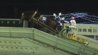 ばんえい競馬で30連勝 地方・中央通じた新記録