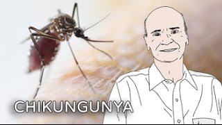 Causa febre pernas nas viral dor