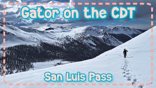Gator on the CDT: P3 San Luis Pass