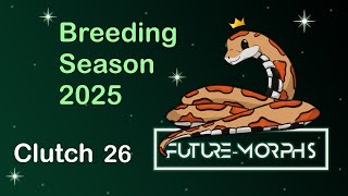 Clutch 26: I am Sad! | Future-Morphs