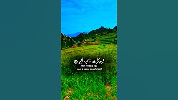 تلاوة خاشعة قرأن كريم يريح القلب #قران_كريم #elmulquranعلم #duet #المصحف #راحة_نفسية #قرآن