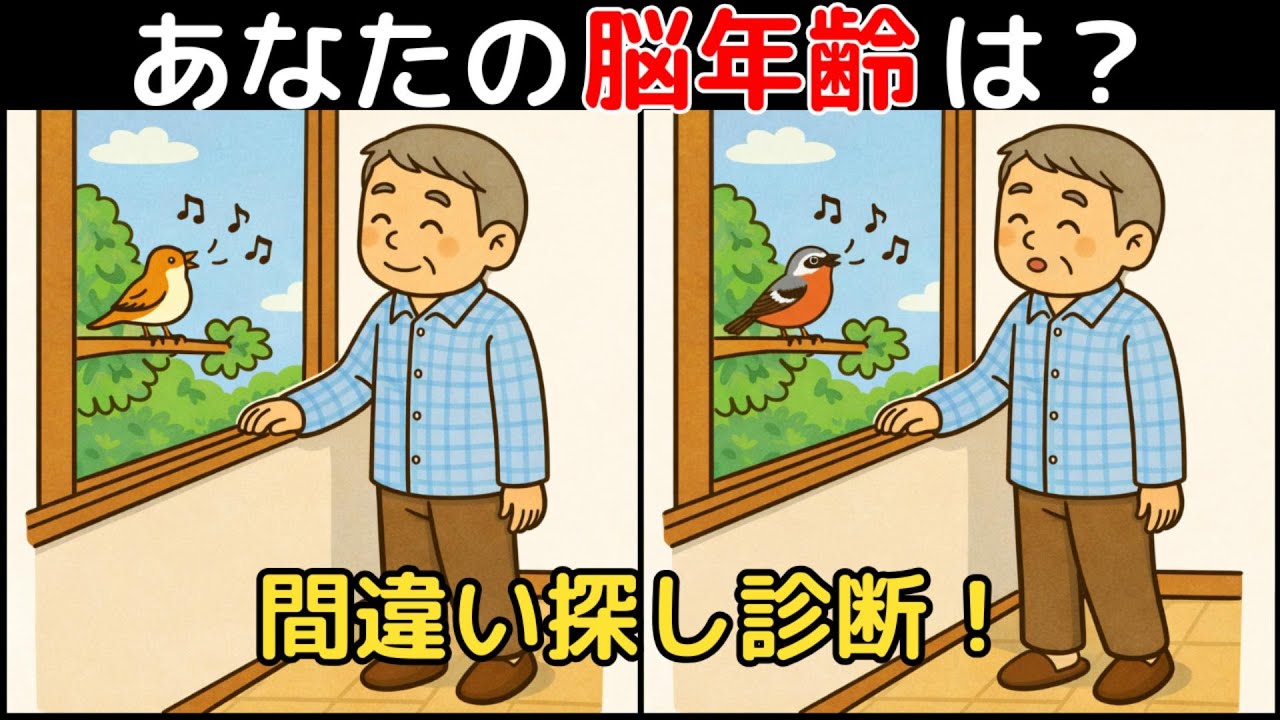 【Найди отличия × Тренировка мозга】Профилактика деменции 60+! Легко→Сложно 10!