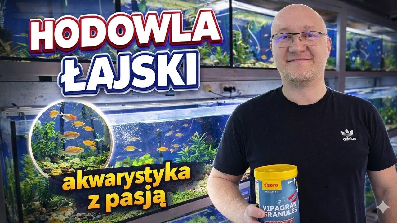 ​🐟 Hodowla Ryb w Legionowie – Odwiedzamy Fishroom Pawła! (95+ Akwariów) 🐠