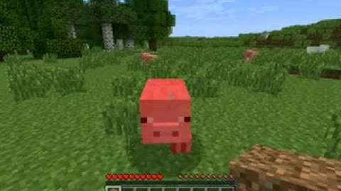 Minecraft v1.2.5 Little Blocks Mod Review