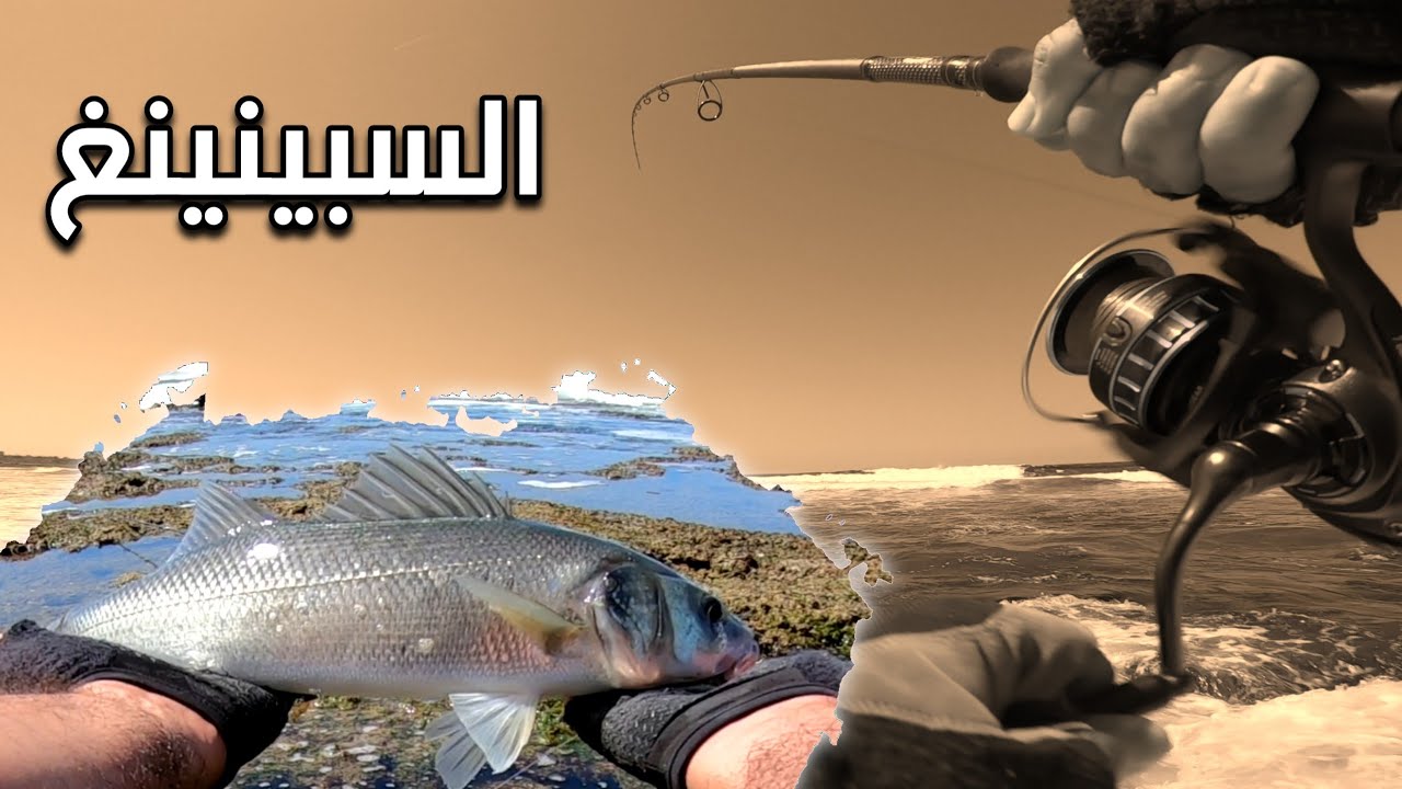 تعلم الصيد بالسبينينغ techniques de peche en spining #الصيد