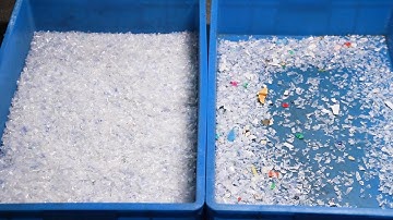 🌍Transparent PET Plastic Flakes Sorting - TAIHO Polymer Sorter Machine♻️