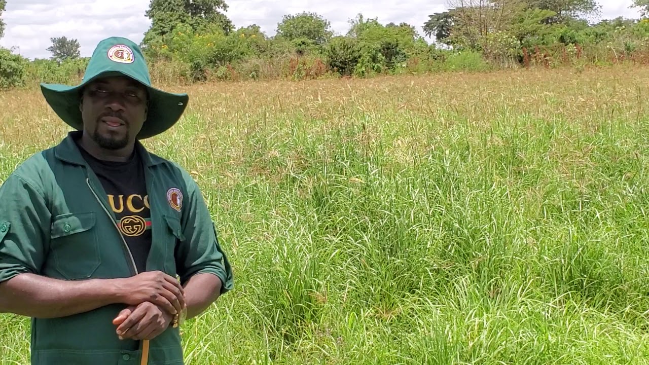 Pasture management of goats and cattle farming