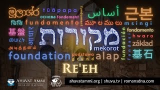 Download Lagu Mekorot - Fondasi parashat Re'eh bersama Rabbi Dr. Itzhak Shapira MP3 Download Lagu Mekorot - Fondasi parashat Re'eh bersama Rabbi Dr. Itzhak Shapira MP3