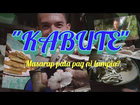 Video: Paano Gumawa Ng Isang Laro Ng Pagkimbot Ng Laman Mula Sa Mga Kabute