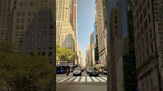 Pleasant Autumn Walk🌆 Crossing Fifth Avenue Manhattan. NYC Fall Vibes.🍁#Shorts #FifthAvenue #NYCWalk