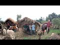 Primitive Rural village life| Most Peaceful Nepali Mountain Village life| Real Village life in Nepal