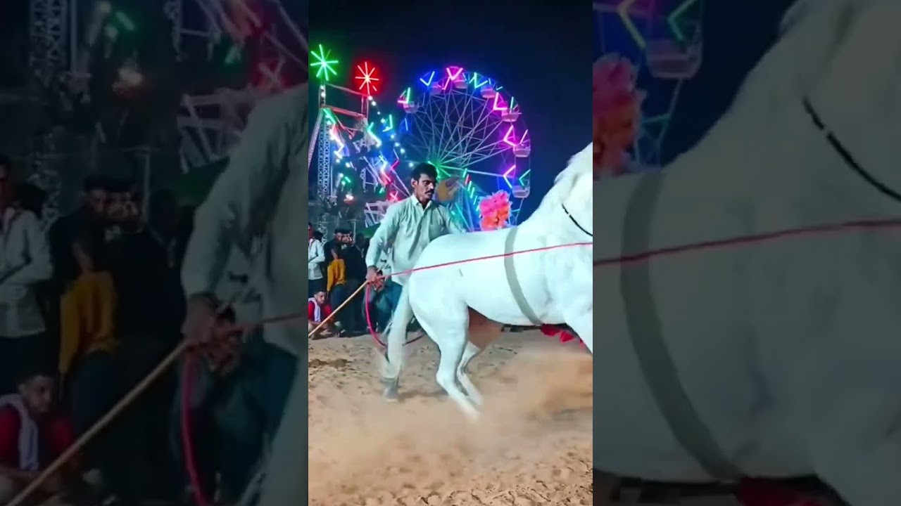 #horse