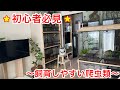 ルームツアーをしながら初心者でも飼いやすい爬虫類を紹介します