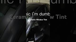 Tesla Model 3 Window Tint or Fishbowl?