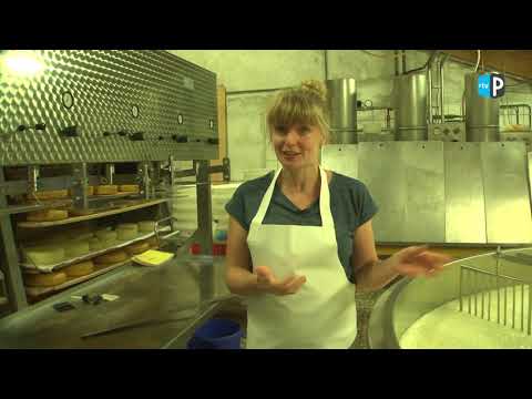 De Alblasserwaard 11 - Van ambachten tot industrialisering