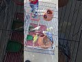 m tota m tota hareey rang ka #unfrezzmyaccount #talkingparot #birds #vilogpigeon #textnow