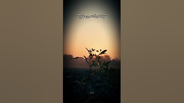 والله على كل شيء قدير #سورة_آل_عمران #تلاوة_خاشعة #قران_كريم #اكسبلور #quran @islam_sobhi