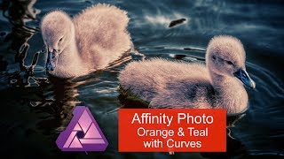 Affinity Photo Teal and Orange with Curves screenshot 4