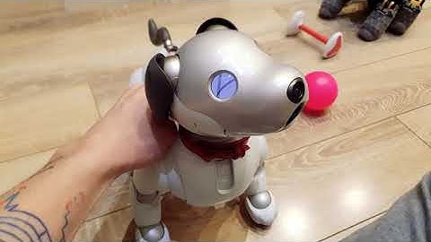 Aibo ERS 1000 unboxing + sendico experience