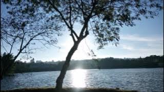 COMO ZAQUEU EU QUERO SUBIR