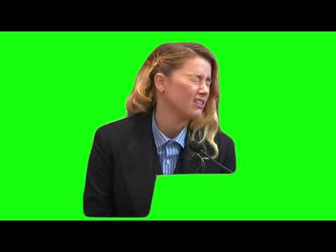 My Dog Stepped on a Bee” – Green Screen