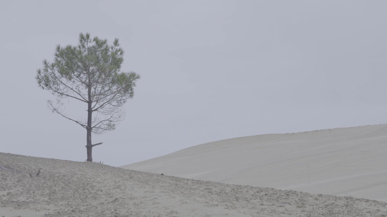 La longue route de sable (maquette avec Ný batterí de Sigur Rós)