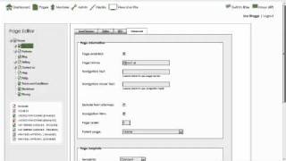 How do I change a page name on my website using 16 Interactive CMS Content Management System