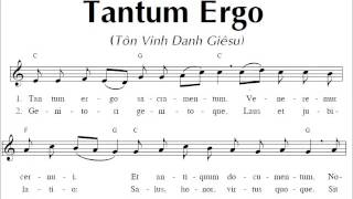 Tantum Ergo Sacramentum (Tôn vinh thánh danh Giêsu chí thánh)