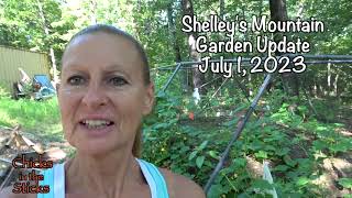 My 'Mountain Garden' Update - July 1 by Life of Treasures 66 views 9 months ago 3 minutes, 18 seconds