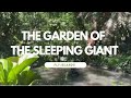【Fiji】The garden of sleeping giant