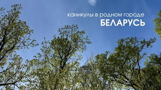 видео: Тёплый влог из Беларуси: мои люди, мой город картинка: Тёплый влог из Беларуси: мои люди, мой город