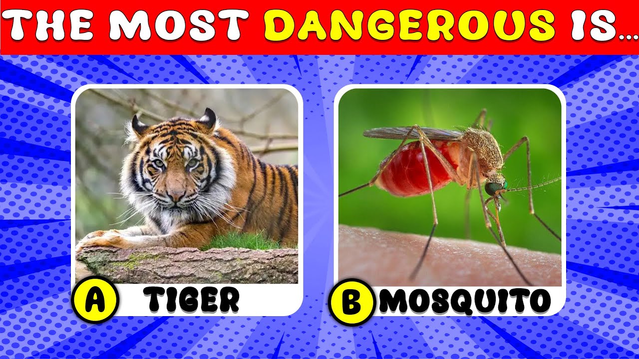 How Good Is Your Knowledge of ANIMALS? 🐅🦟✅ General Knowledge Trivia Quiz