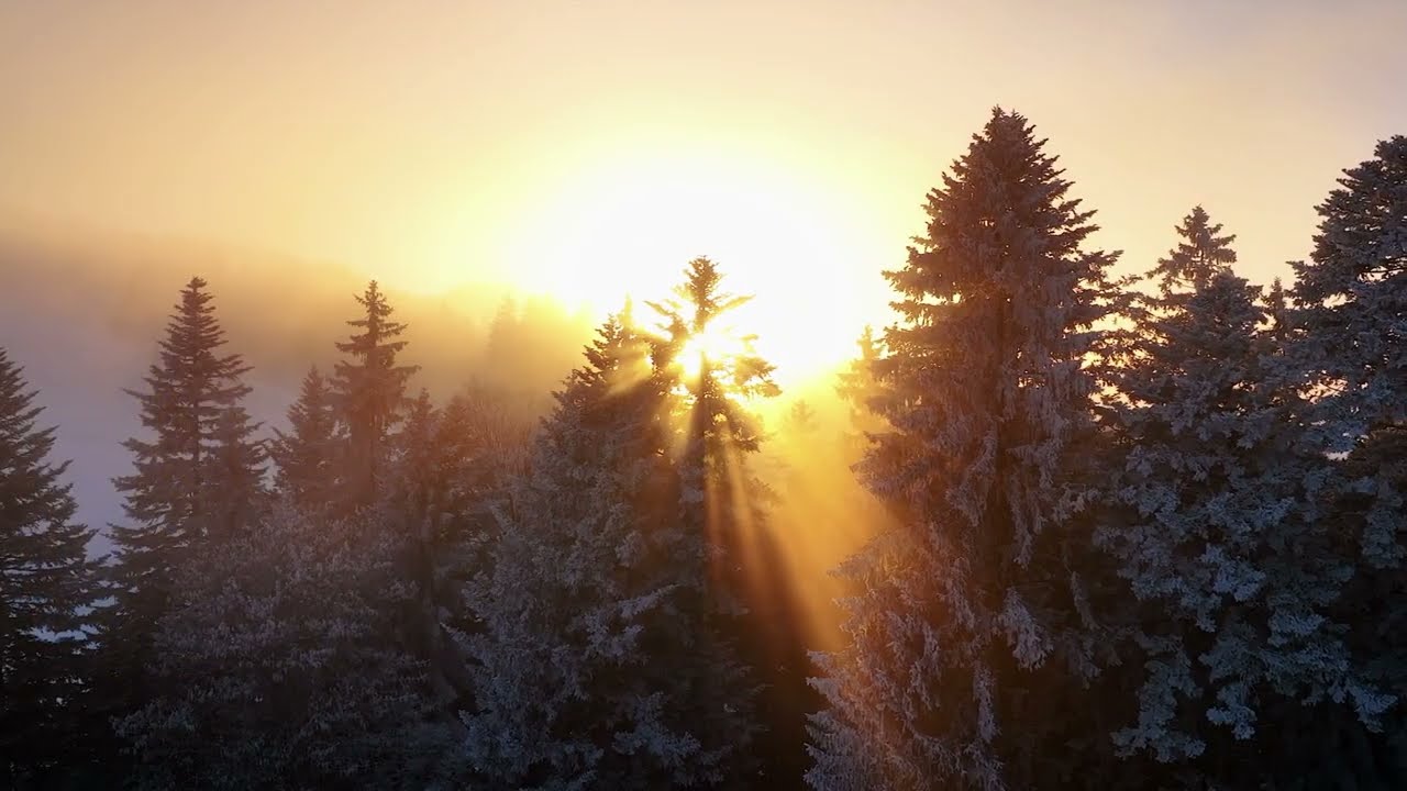 Prayer for the Return of the Sun - Kristin Hagegård