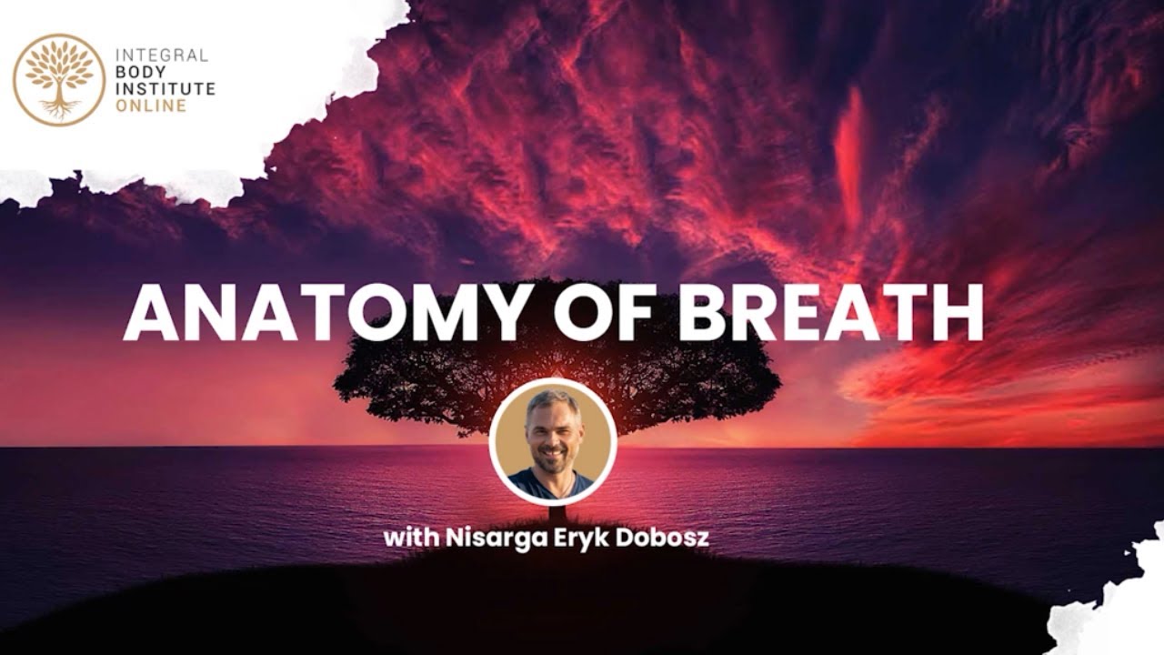 Understanding Breath to Release Tension and Stuck Emotions