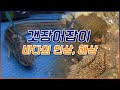 갯장어잡이와 바다의인삼, 해삼 이야기 [어영차바다야 다시보기]