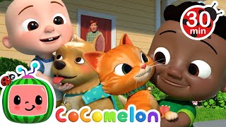 Pet Care Song + More Animals for Kids | CoComelon Animal Time