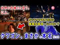 【王様戦隊キングオージャー】第6話「王子の帰還」 リタ様の可愛さ爆発は確定で...キングオージャーZERO&ゴッドクワガタZERO登場!ギラの能力はシュゴッドと会話できることも判明です【ネタバレあり】
