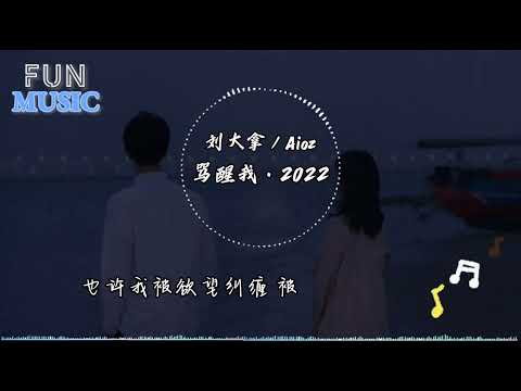 刘大拿/Aioz - 骂醒我·2022 「Babe能不能抓住我，当我的心被搞乱了」(4k Video)【動態歌詞】