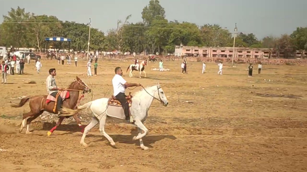 Makdana (HR) rewal chal 1 group 2026