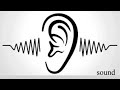 Suspense - Sound Effect (HD)