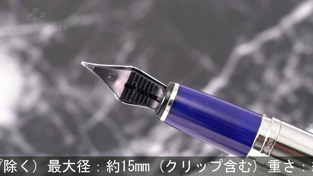 WATERMAN ウォーターマン 万年筆 丸善限定 レタロン リュネール M