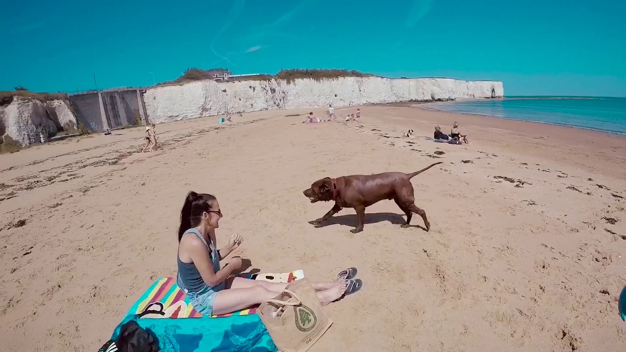 Kingsgate beach with Hugo