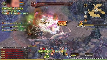 Tree Of Savior - DS5 (2DPS+HEALER+BUFF)