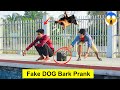 Fake dog bark prank  funny prank in india  4minute fun