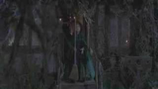 Hocus Pocus Tribute