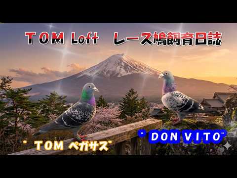 26 02 24 (Tue) Tokyo West District N Potluck Decision Day - YouTube