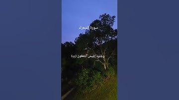 سورة الشعراء #سورة_الشعراء #ياسر_الدوسري #قران_كريم #quran #اكسبلور #explore #youtube #youtubeshort